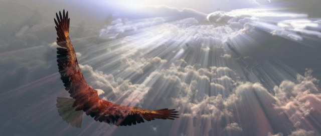 11799885-guila-en-vuelo-por-encima-de-las-nubes-que-Foto-de-archivo